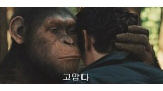 국민여러분 고맙습니다 ㅠㅠ