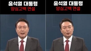 윤석열 탄핵소추와 내란죄 수사 촉구 국회 청원