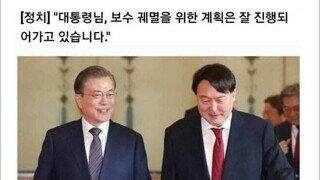 사실 앞으로 보수에서 대통령 못나오게하려는 윤석열의 큰그림 아니었을까.....