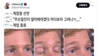 외국인이 느낀 대한민국 계엄 사태