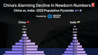 2023년 인구 피라미드 - 중국 vs 인도