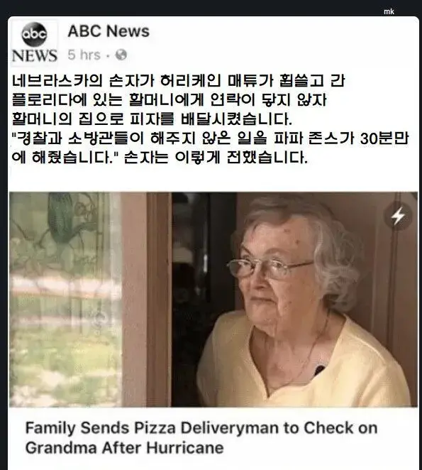 라쿤피자 이미지