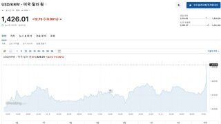 2차 계엄 기사 뜬후 실시간 달러 환율