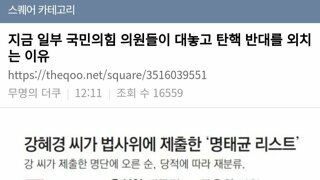 국민의힘 탄핵 반대 이유