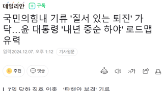 국민의힘내 기류 '질서 있는 퇴진' 가닥…윤 대통령 '내년 중순 하야' 로드맵 유력