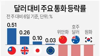 달러 대비 주요 통화 등락률