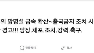 양문석 의원  윤부부 망명가능성 제기