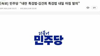 [속보] 민주당 “내란 특검법·김건희 특검법 내일 아침 발의”