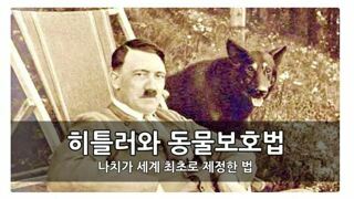 히틀러의 동물보호법과 김건희의 개 식용 종식법