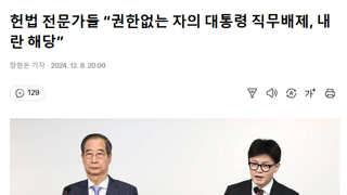 헌법 전문가들 “권한없는 자의 대통령 직무배제, 내란 해당”