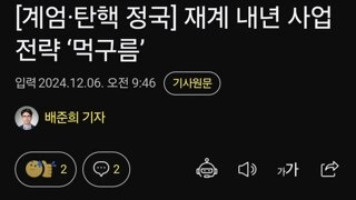 재계 내년 사업 전략 ‘먹구름’