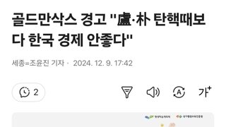 골드만삭스 경고 