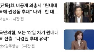 국민의 힘 원내대표 상황