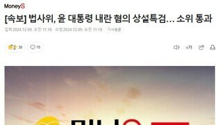 대통령님 외통수 올라 갑니다 - 법사위, 윤 대통령 내란 혐의 상설특검… 소위 통과