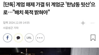 [단독] 계엄 해제 가결 뒤 계엄군 '한남동 뒷산'으로…