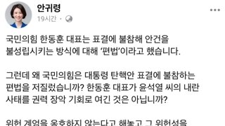 한동훈 패는 안귀령 sns