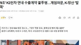 '9조' K2전차 연내 수출계약 불투명…계엄파문, K-방산 '발목'