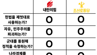 내란의 힘 vs 조선로동당 비교