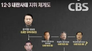 내란 지휘 체계도