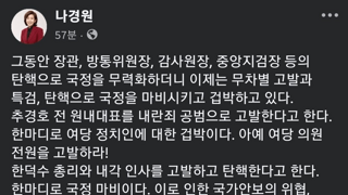 나경원 페북업