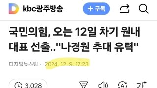 내란의힘 원내대표로 나경원이 적합하다고 봄