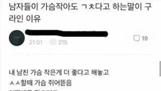 18) 남자들이 여자들 가슴작아도 괜찮다는말이 구라인 이유