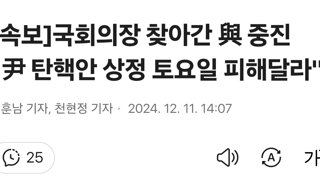 [속보]국회의장 찾아간 與 중진 