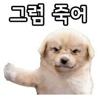 드롭스 이미지