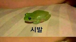 아직도 ! 씨발 ! 이틀이나 ! 남았다니 !