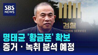 명태균 황금폰