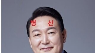 윤틀러 11%의 정체는 뭘까 ?