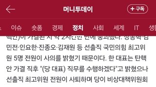 與선출직 최고위원 전원사퇴, 한동훈 지도부 붕괴…비대위 체제로 전환