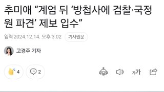 추미애 검찰도 계엄상황개입정황