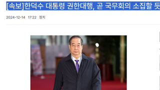 ]한덕수 대통령 권한대행, 곧 국무회의 소집할 듯