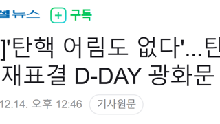 탄핵 어림도 없다'...탄핵소추안 재표결 D-DAY 광화문 집회