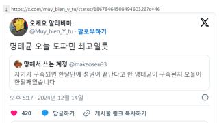 명태균 오늘 도파민 최고일듯