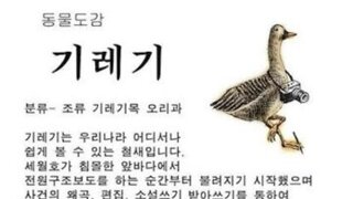 만약 헌재가 기각하면?