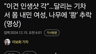 “이건 인생샷 각”…달리는 기차서 몸 내민 여성, 나무에 ‘쾅’ 추락