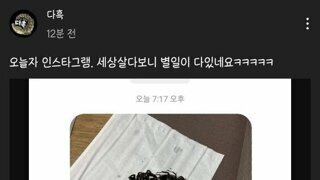 장수풍뎅이가 죽은 이유