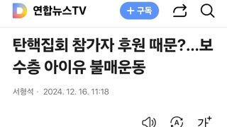 탄핵집회 참가자 후원 때문?…보수층 아이유 불매운동