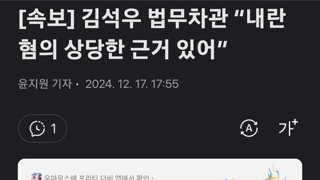 [속보] 김석우 법무차관 “내란 혐의 상당한 근거 있어”