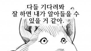 뭔데 아침부터 블라된 글들이 돌아다님?