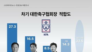 대한체육회장 대한축구협회장 여론조사