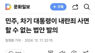 민주, 차기 대통령이 내란죄 사면할 수 없는 법안 발의