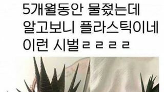 5개월동안 키운 식물