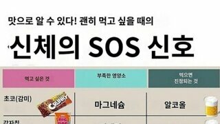 신체의 sos 신호