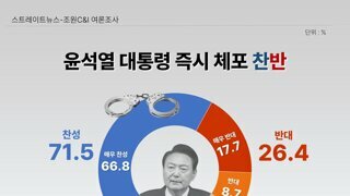 윤석열 즉시 체포 찬반 여론조사