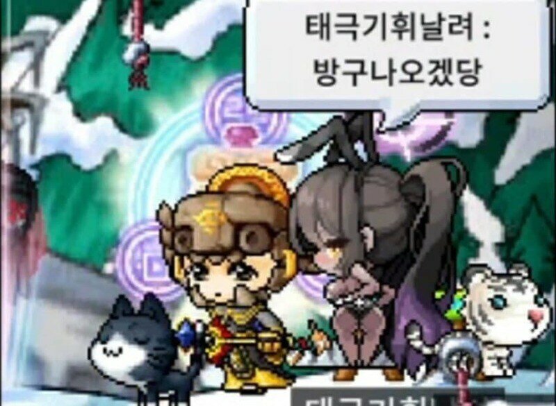 메이플 이미지