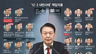 알기 쉬운 내란 조직도