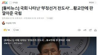 내란의힘이 내세운 부정선거 카드